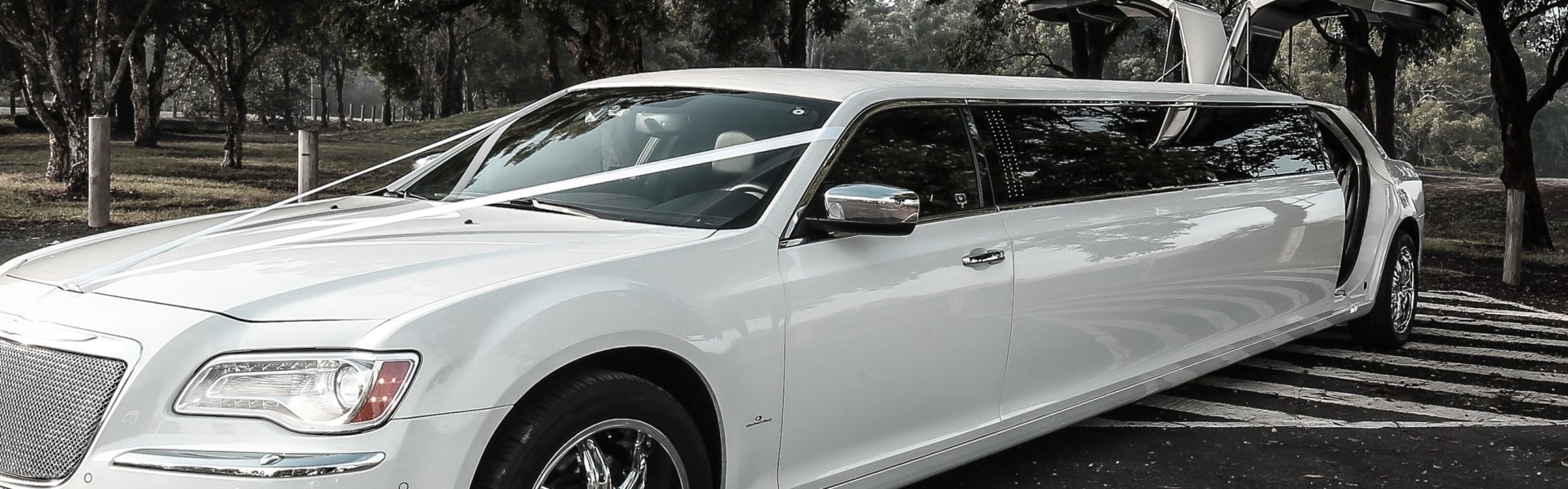 Tacoma Limousine